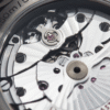 Aqua Terra Worldtimer Titanium Grey Dial 43mm - Image 5