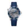 Seamaster Diver 300m Steel Grey Dial 42mm