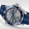 Seamaster Diver 300m Steel Grey Dial 42mm - Image 3